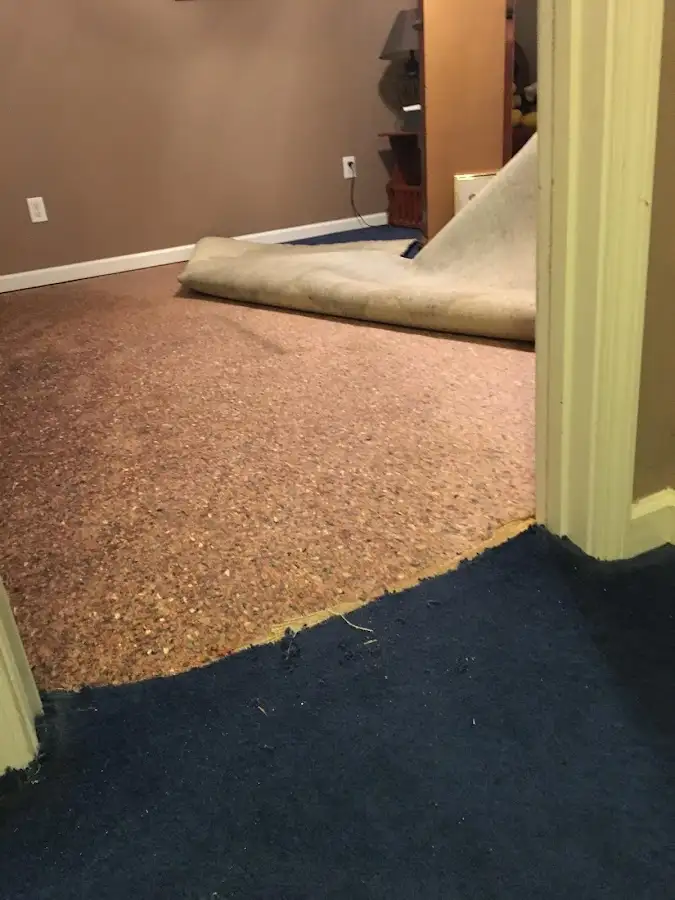 Carpet pad removal revealing water damage during Water Mitigation Services in Windsor
