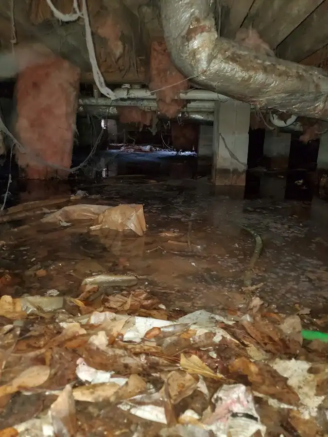 Crawl space flood assessment for Leak Detection & Repair in Windsor