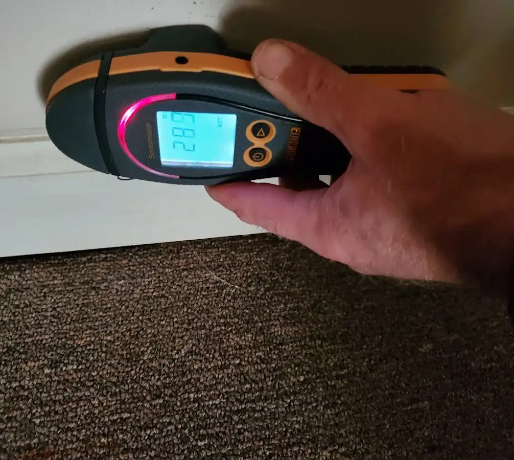 Moisture detection at baseboard during Mold Inspection & Testing in Windsor